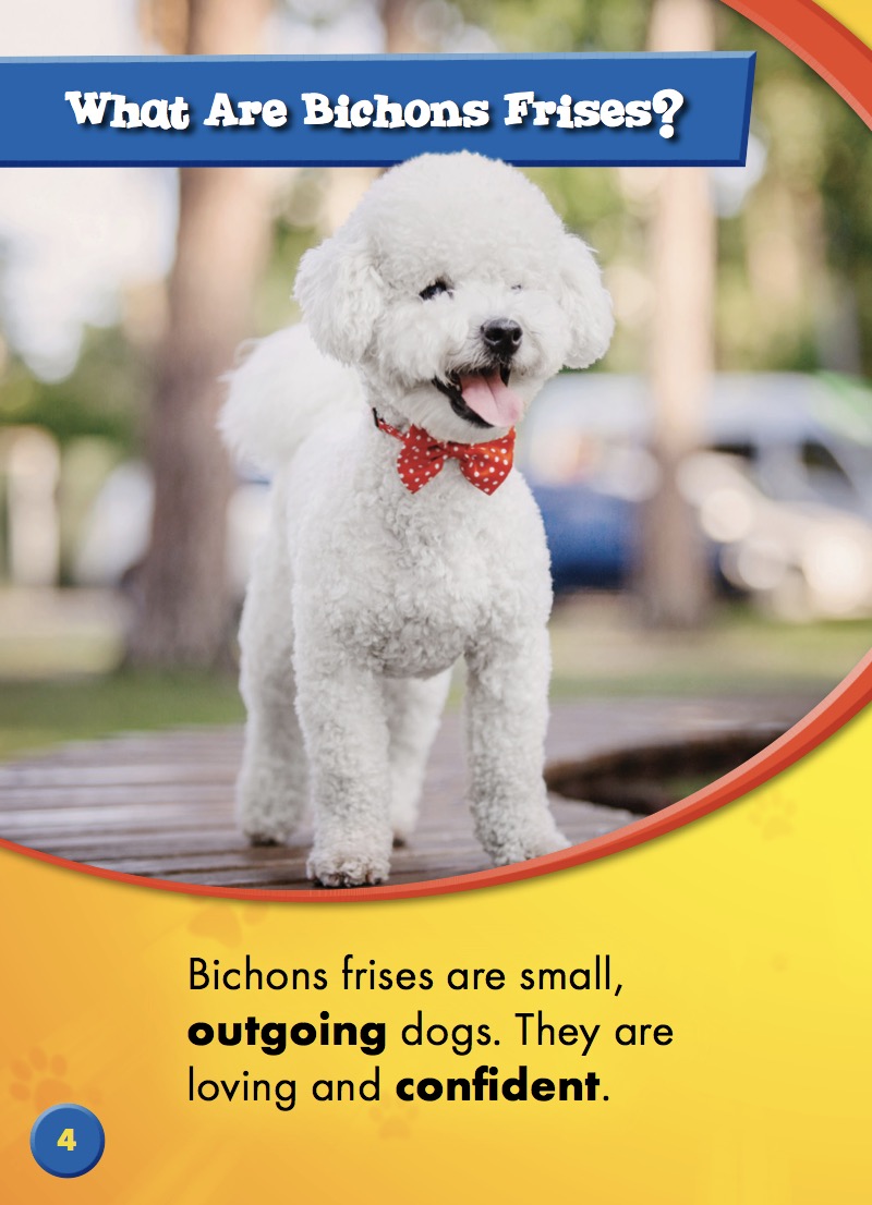 Bichons Frises — page 1