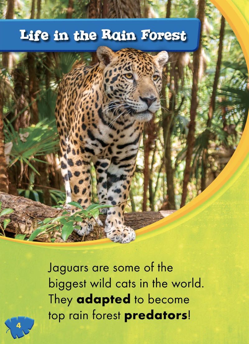 Jaguars — page 1