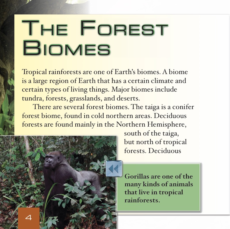 What Are Tropical Rainforests? — page 1