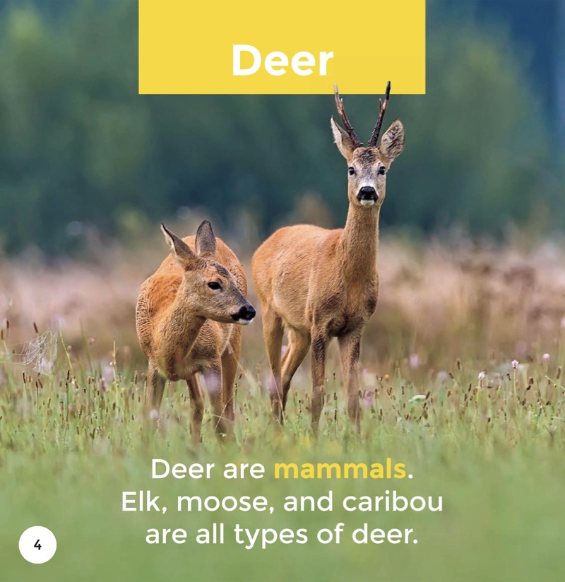 Deer — page 1
