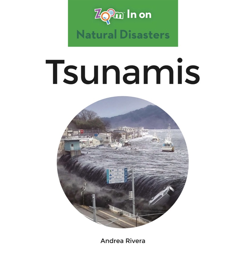 Tsunamis book cover