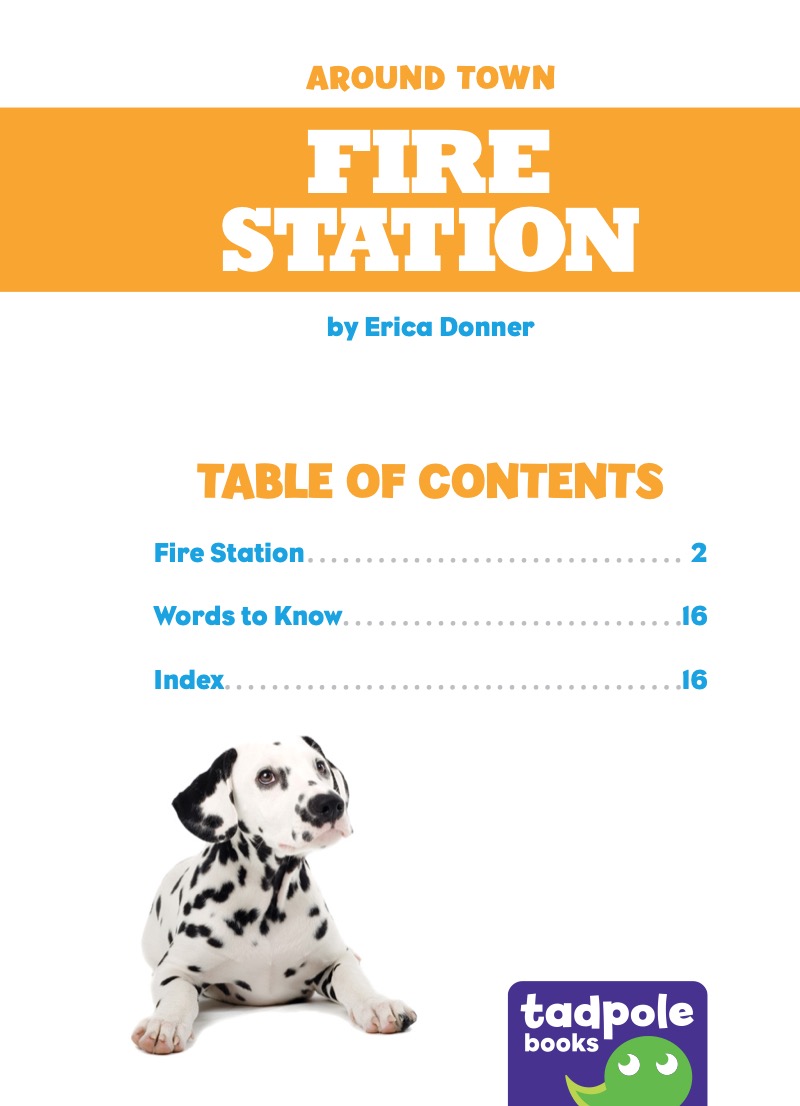 Fire Station book cover