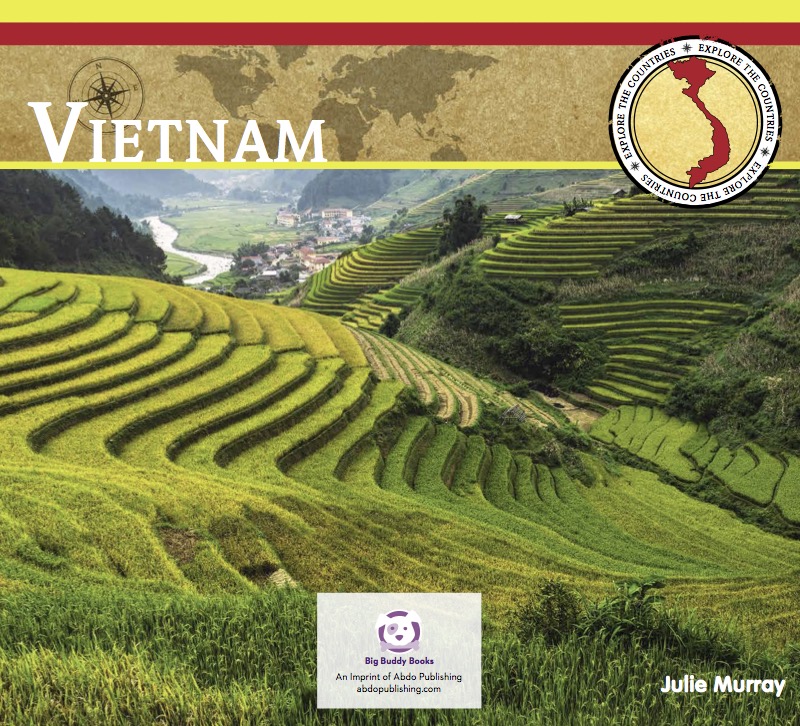 Vietnam book cover