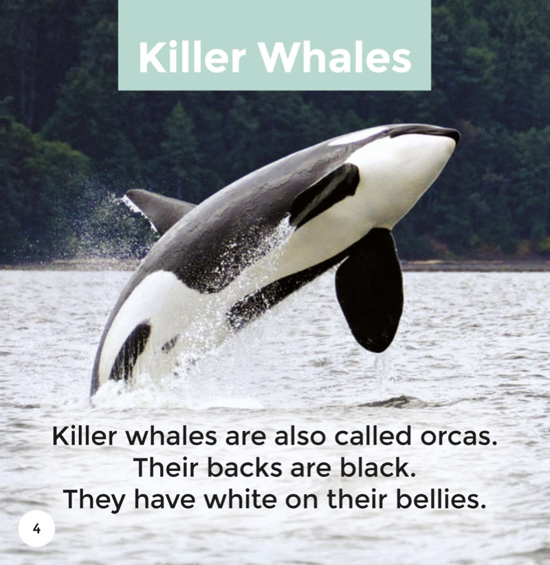 Killer Whales — page 1