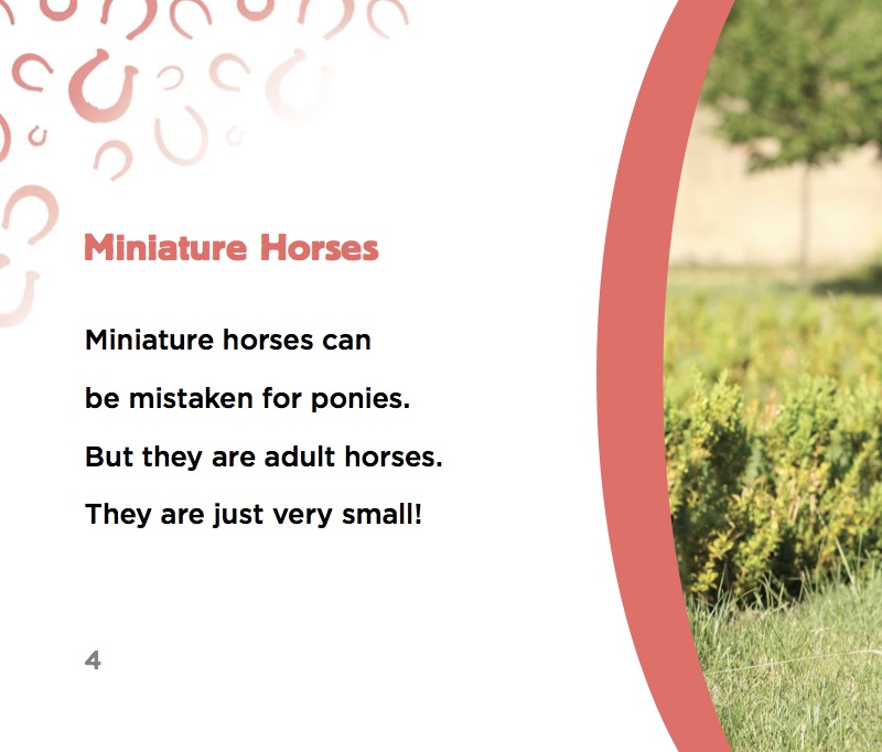 Miniature Horses — page 1
