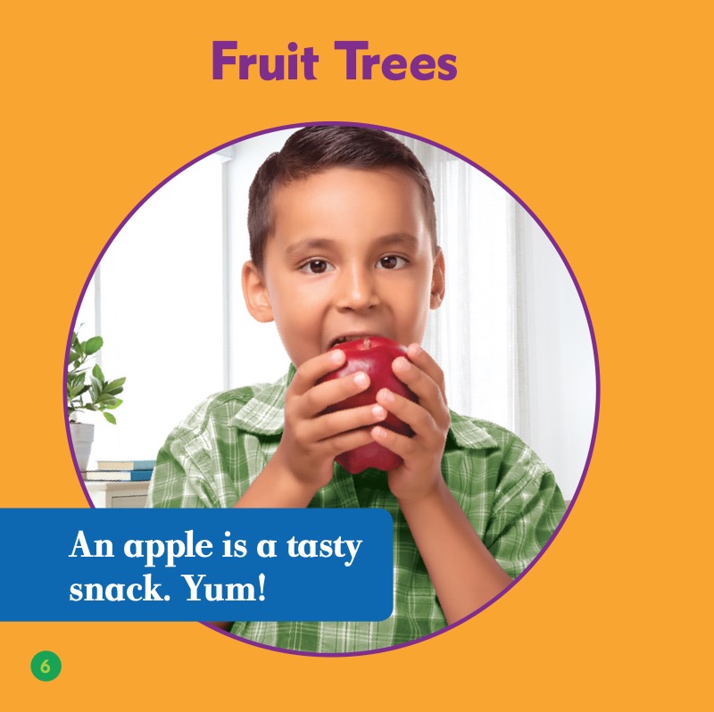 Watch an Apple Grow — page 1