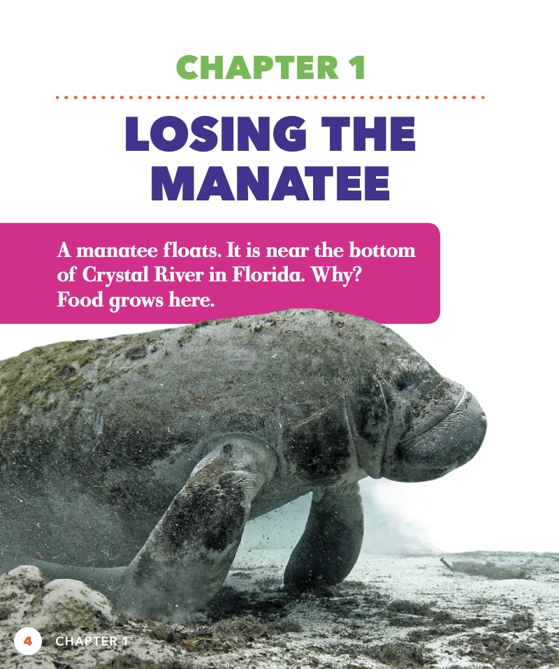 Saving the Manatee — page 1