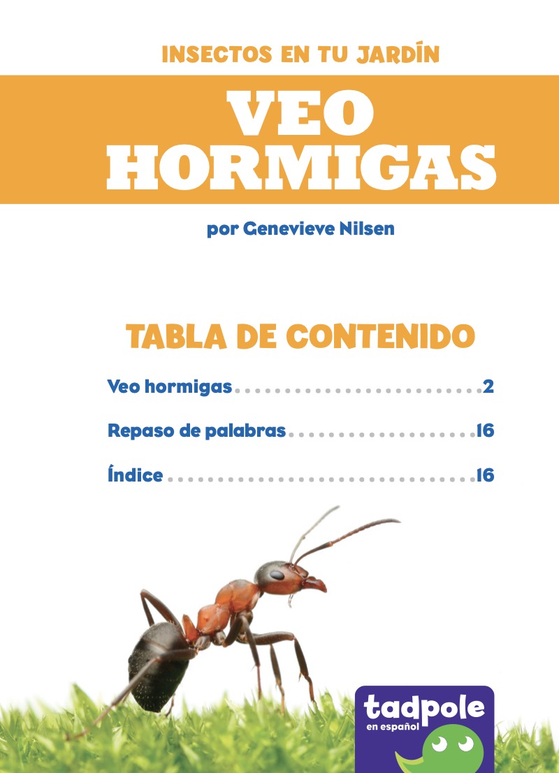 Veo hormigas (I See Ants) book cover