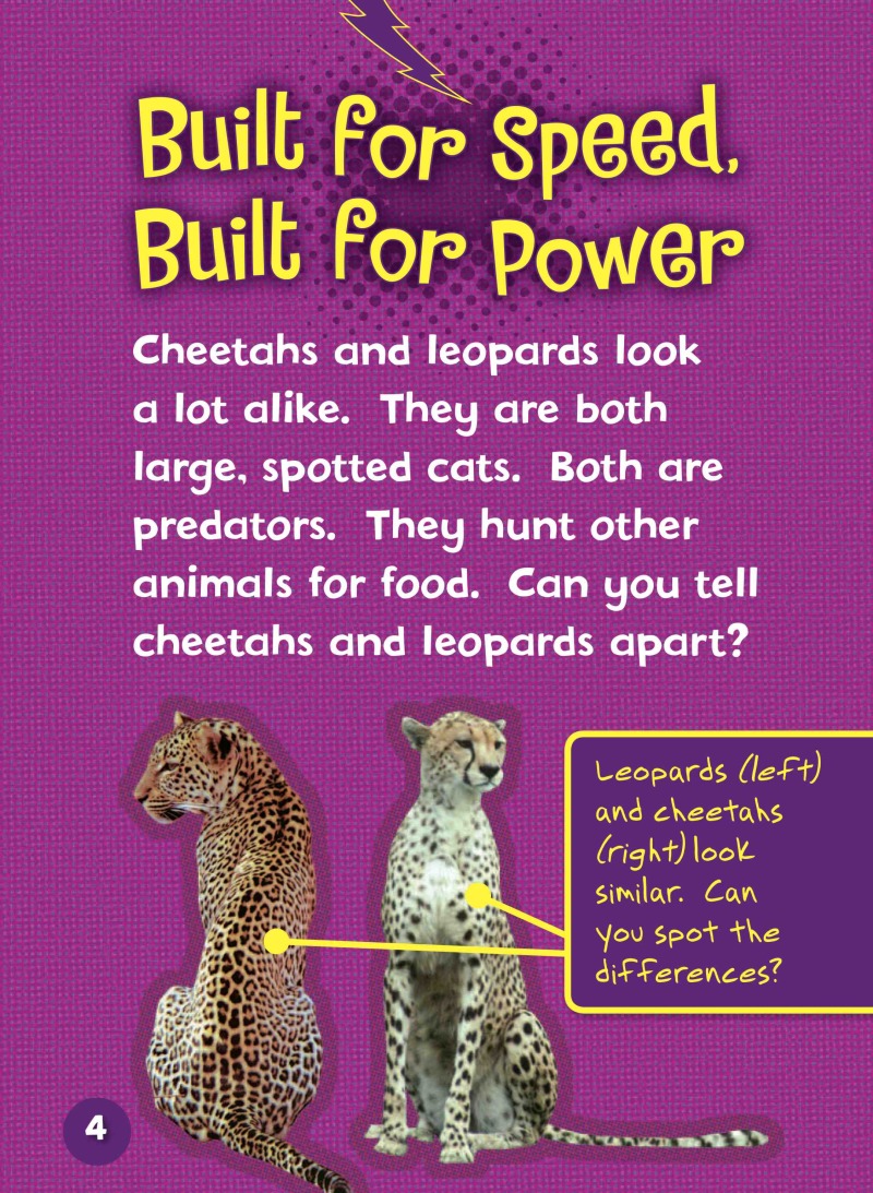 Can you Tell a Cheetah from a Leopard? — page 1