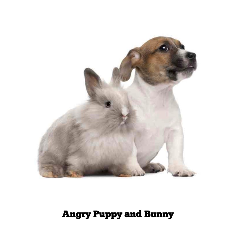 Bunny & Puppy — page 1