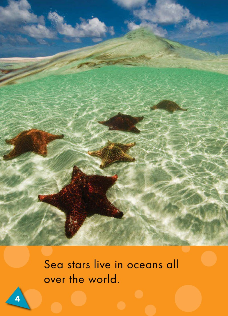 Sea Stars: Oceans Alive — page 1