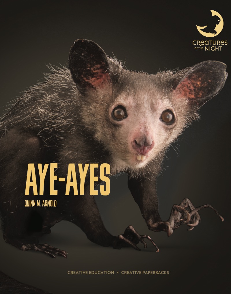 Aye-Ayes book cover