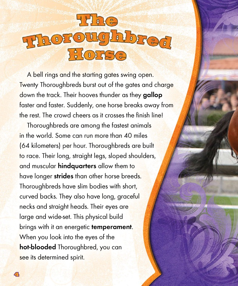 The Thoroughbred Horse — page 1