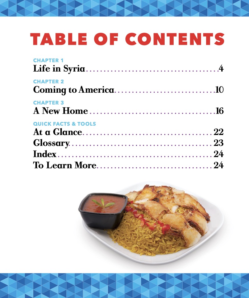 The Syrian-American Journey book cover