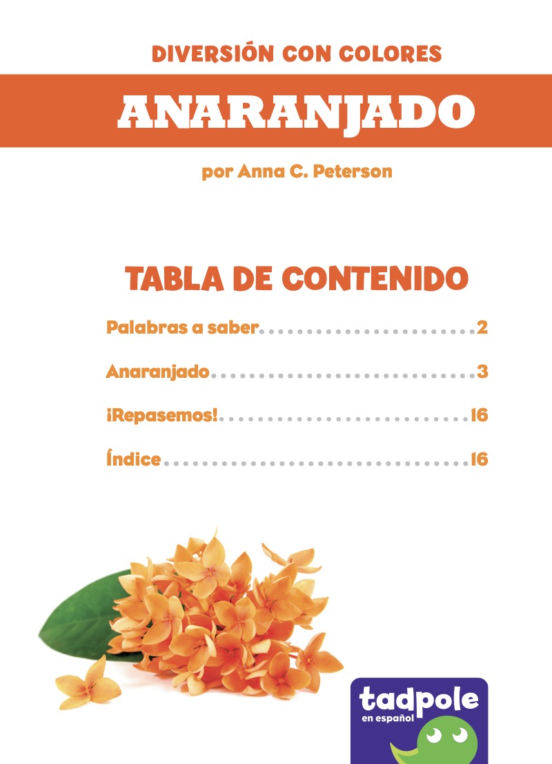 Diversión con colores: Anaranjado book cover