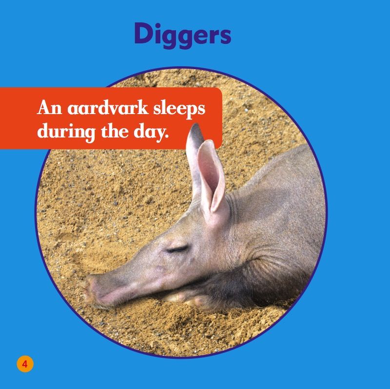 My First Animal Library: Aardvarks — page 1