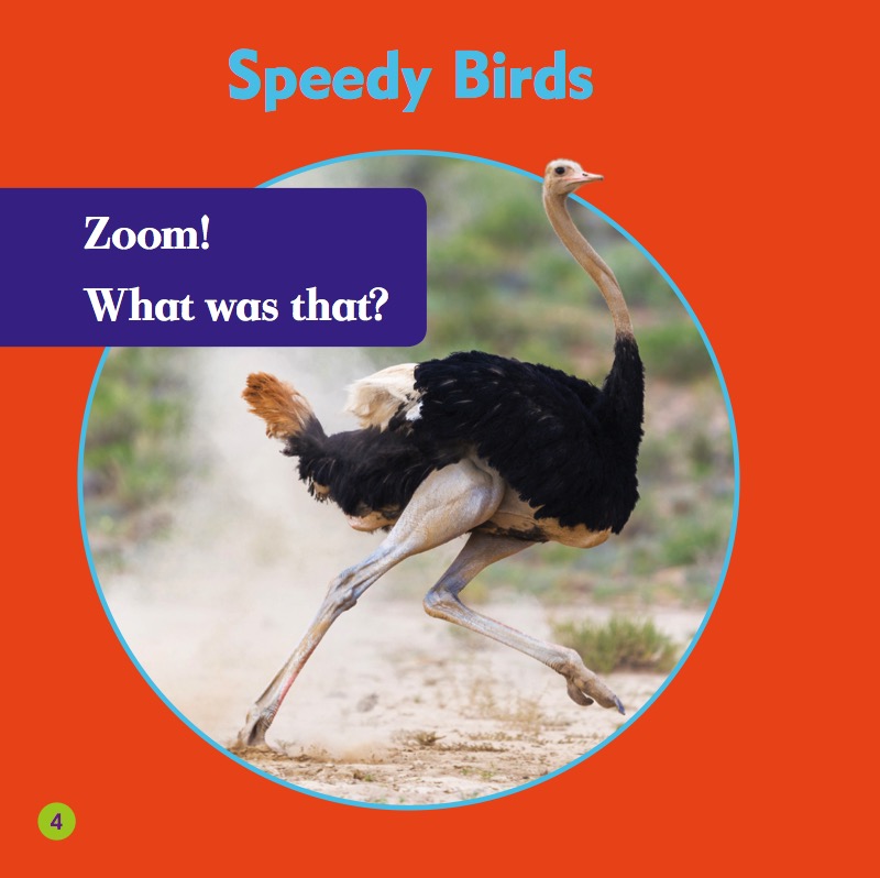 My First Animal Library: Ostriches — page 1