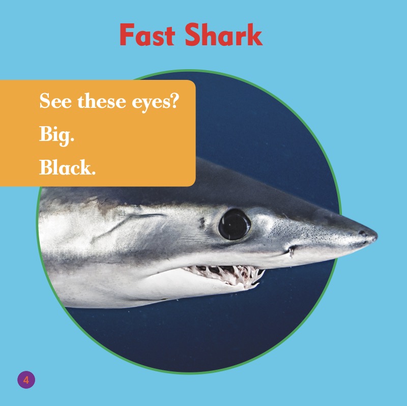Shark Bites: Mako Shark — page 1