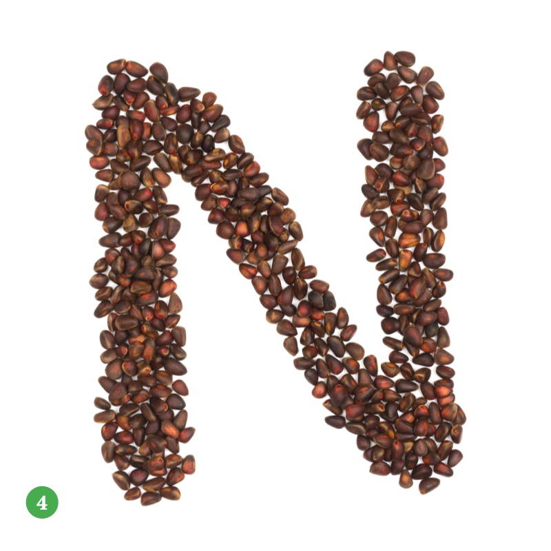 Discover The Alphabet: N — page 1