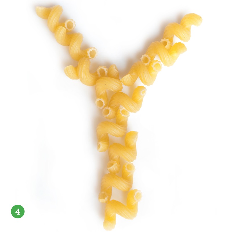 Discover The Alphabet: Y — page 1