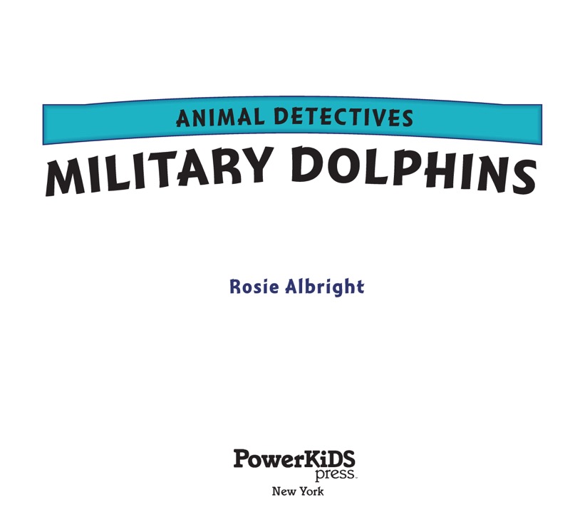 Military Dolphins book cover