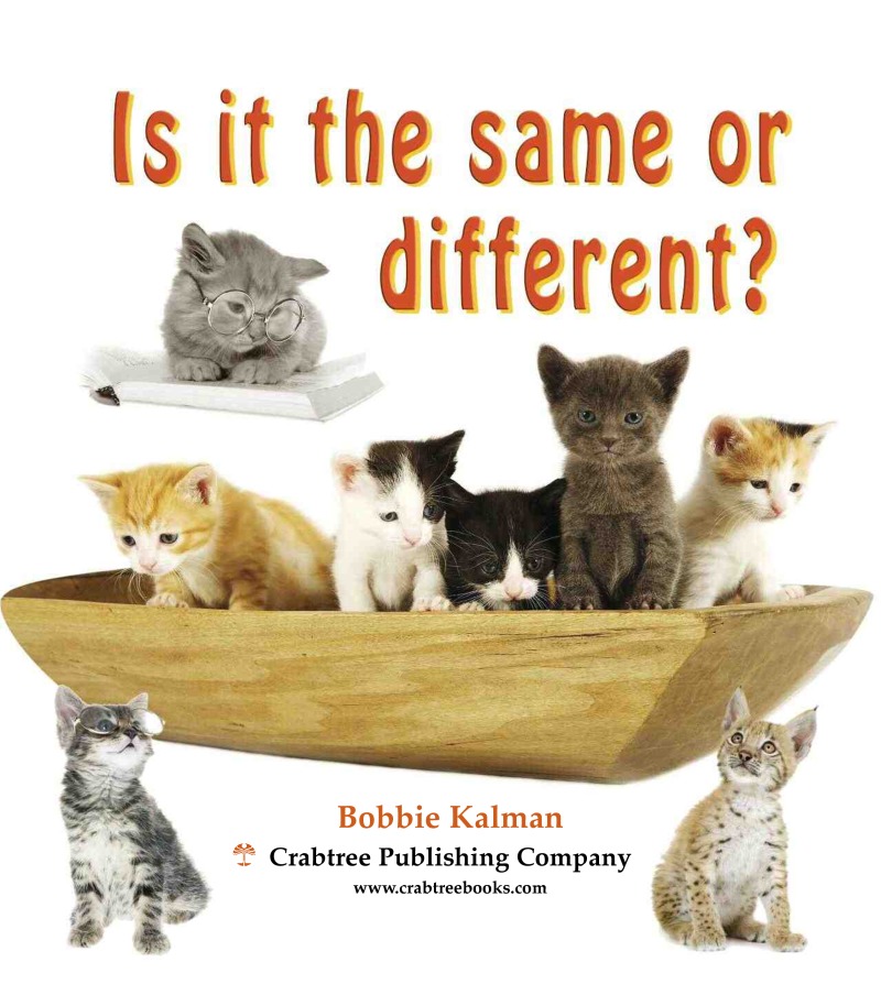 Is it the same or Different? book cover