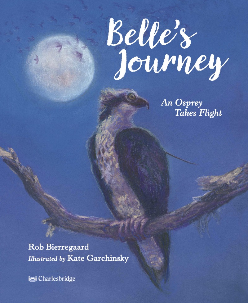 Belle's Journey: An Osprey Takes Flight book cover