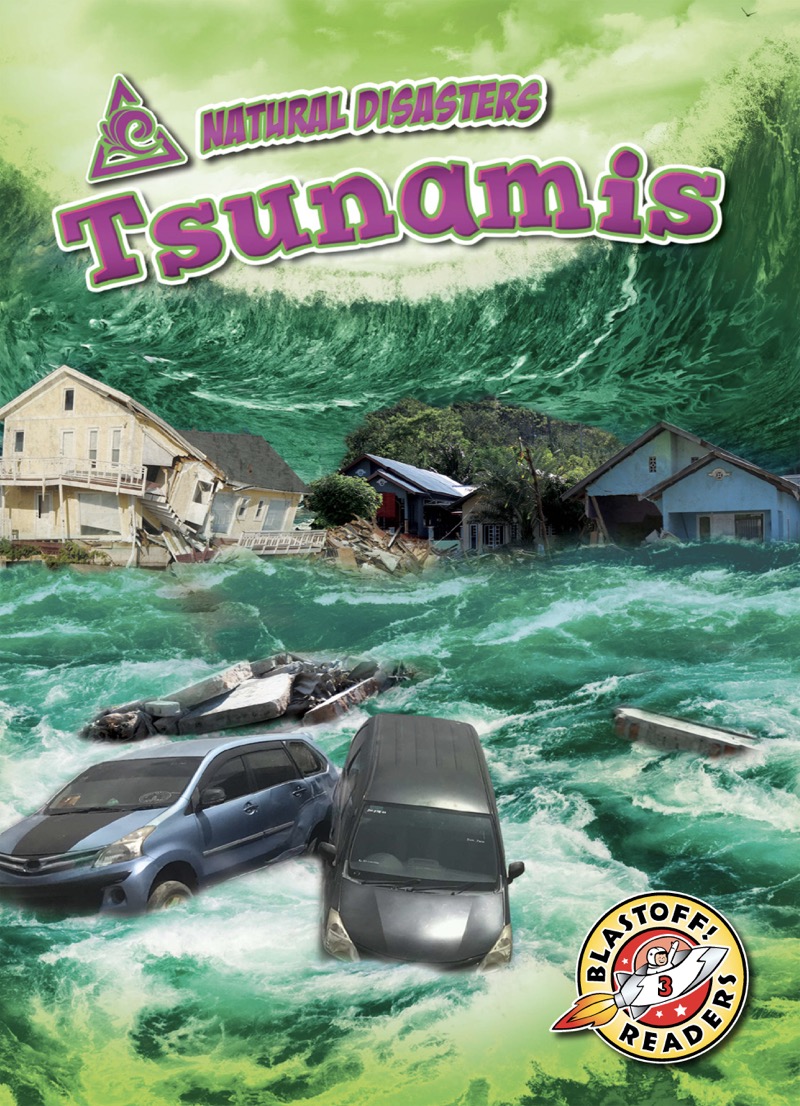 Tsunamis book cover