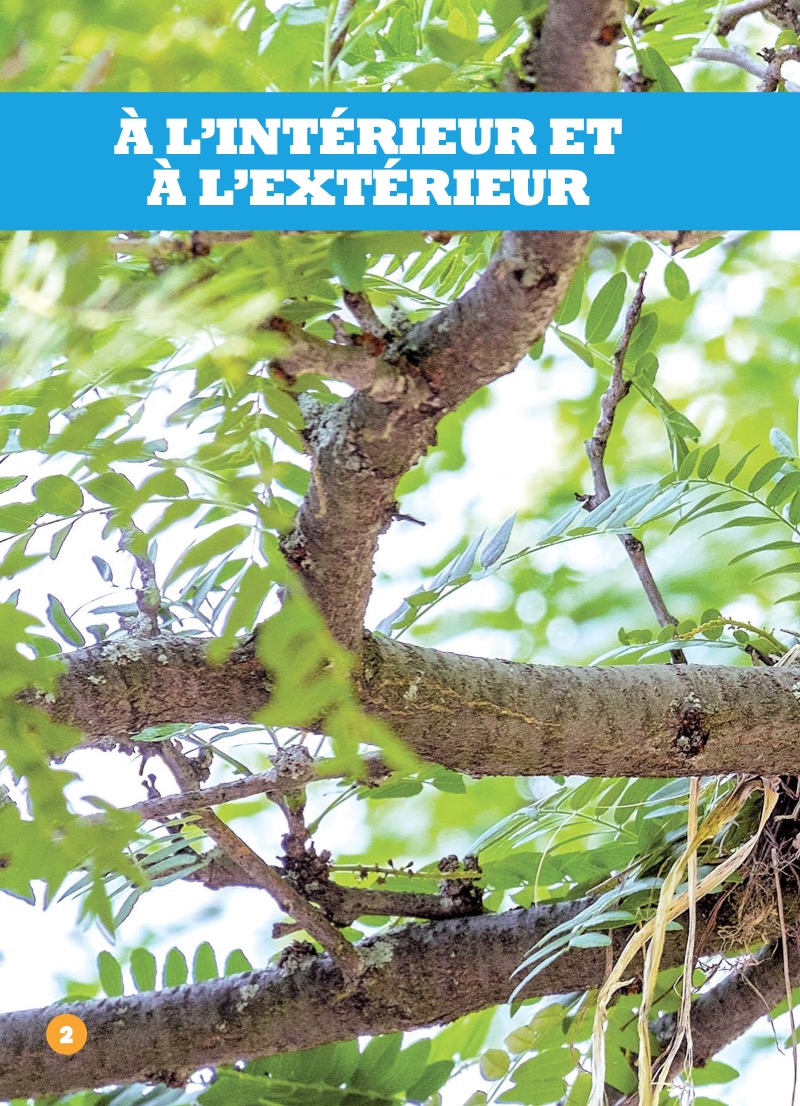 À l’intérieur et à l’extérieur (In and Out) — page 1