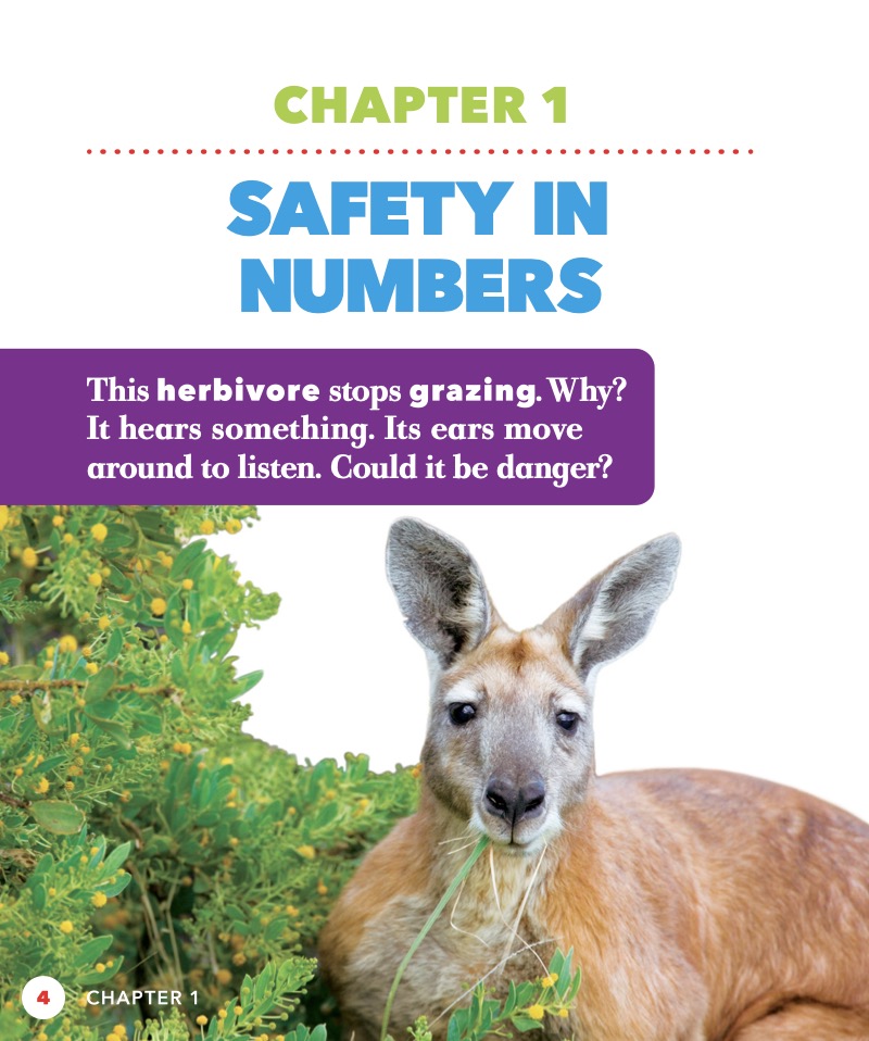 Kangaroo Mobs — page 1