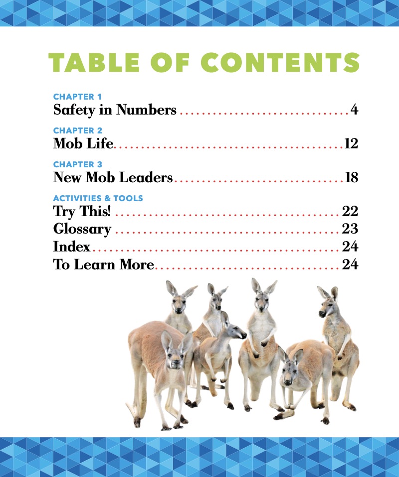 Kangaroo Mobs book cover