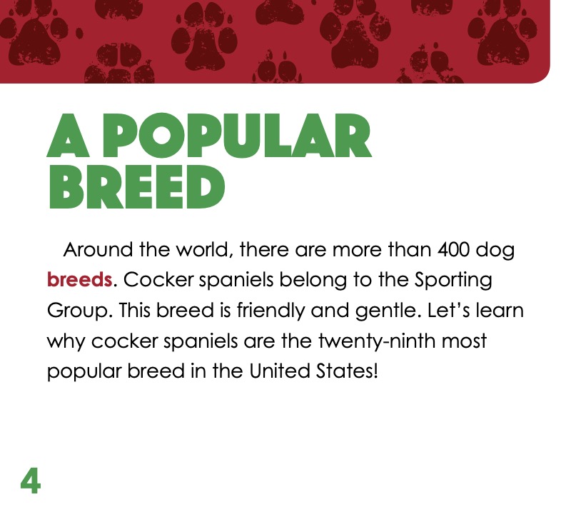 Cocker Spaniels — page 1