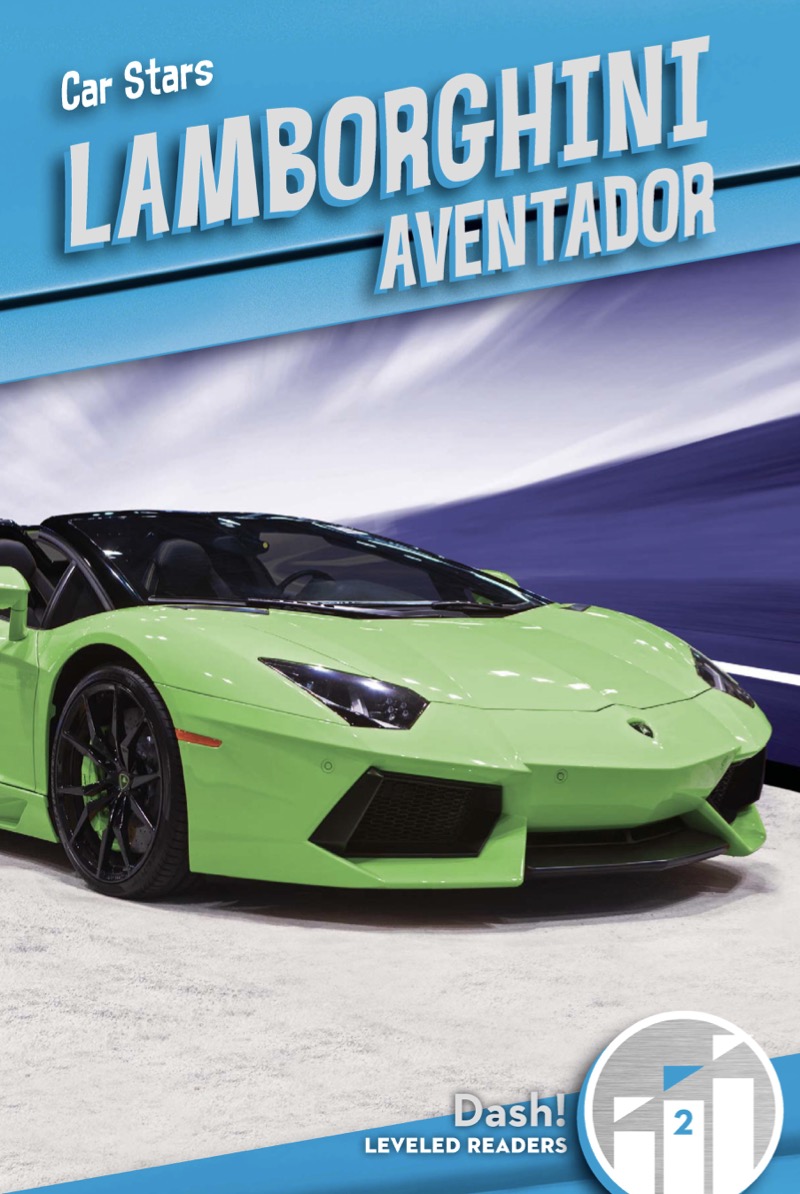 Lamborghini Aventador book cover