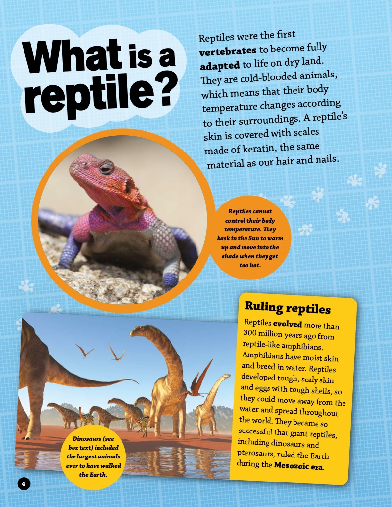 Why Do Reptiles Have Scales?: And Other Questions About Evolution and Classification — page 1