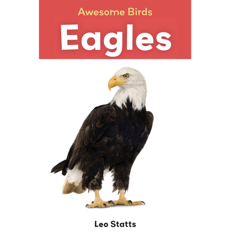 Eagles book cover