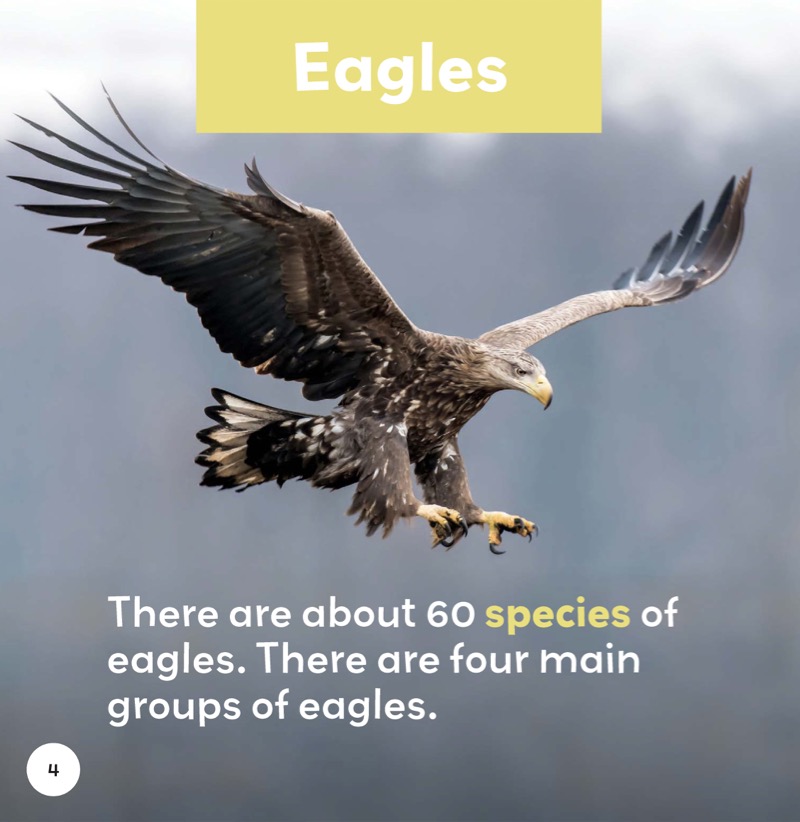 Eagles — page 1