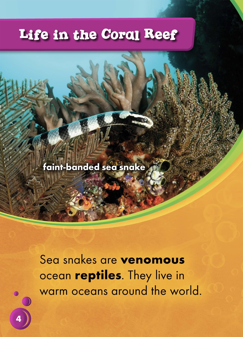 Animals of the Coral Reefs: Sea Snakes — page 1