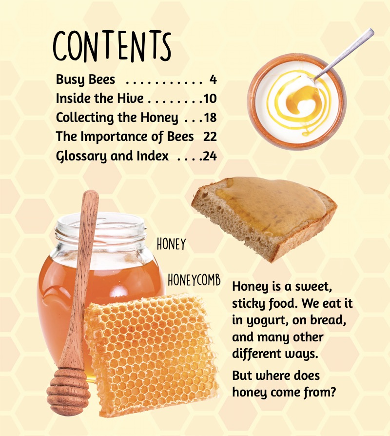 Where Food Comes From: Bee to Honey book cover