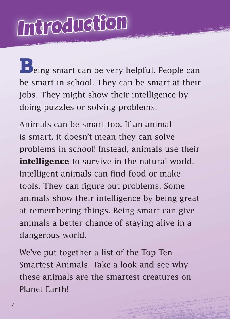 Top Ten Smartest Animals — page 1
