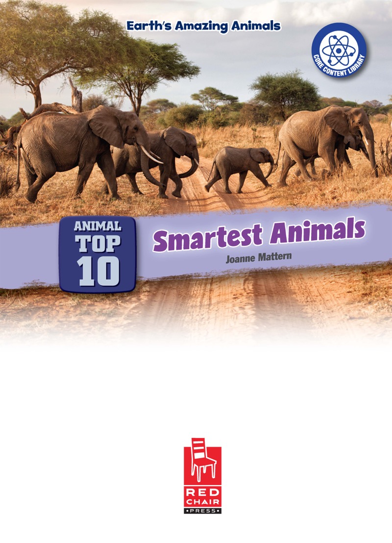 Top Ten Smartest Animals book cover