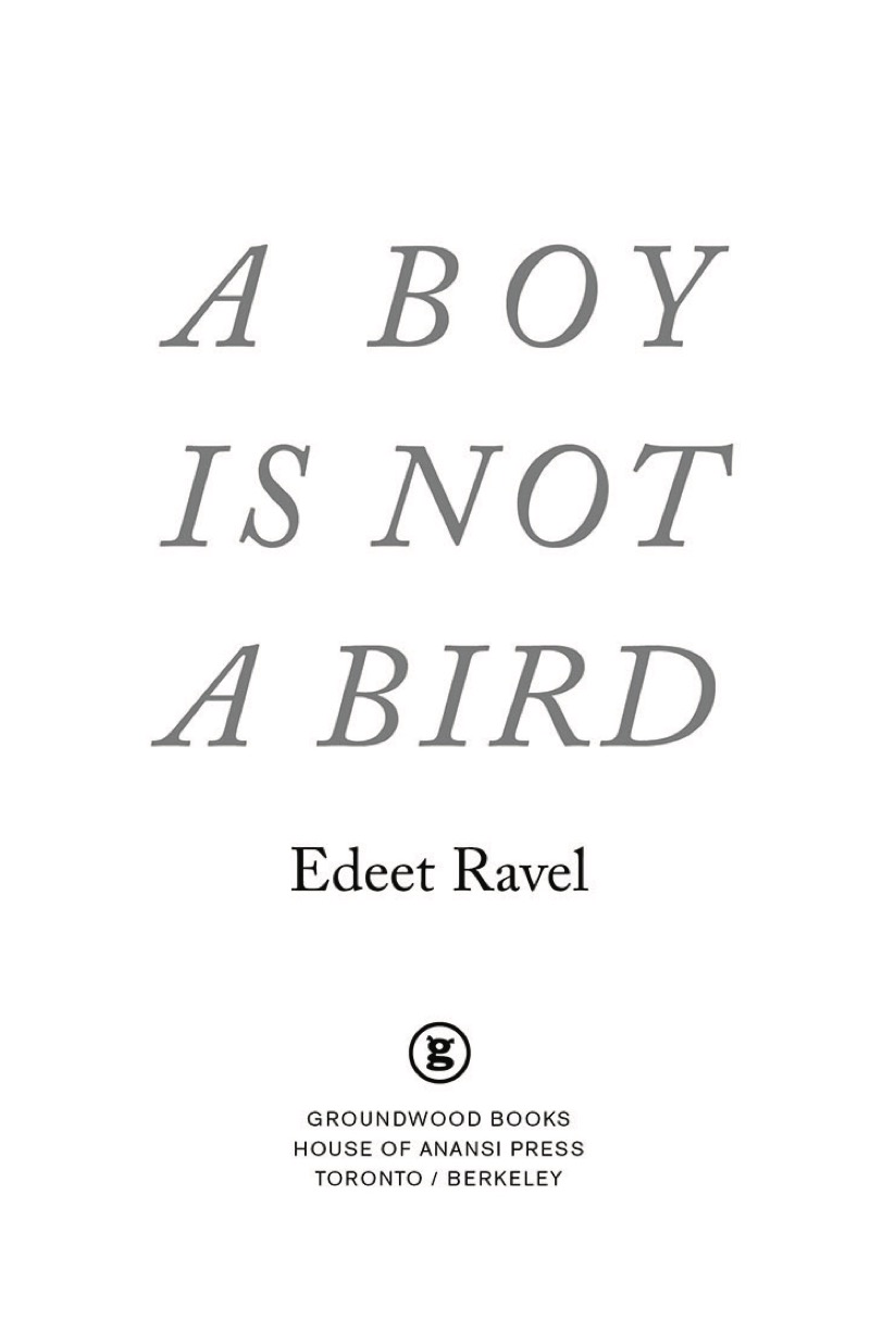 A Boy Is Not a Bird book cover