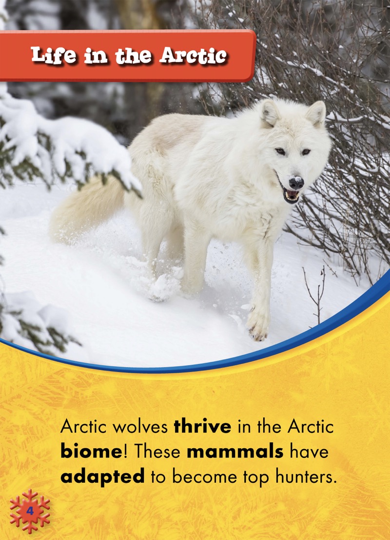 Animals of the Arctic: Arctic Wolves — page 1
