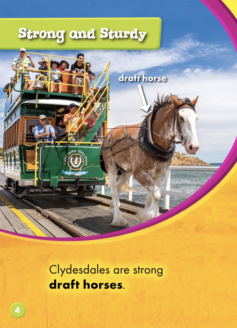 Saddle Up!: Clydesdale Horses — page 1