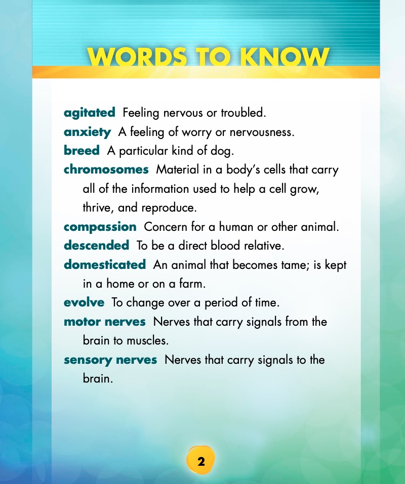 Animal Emotions: When Dogs Smile — page 1