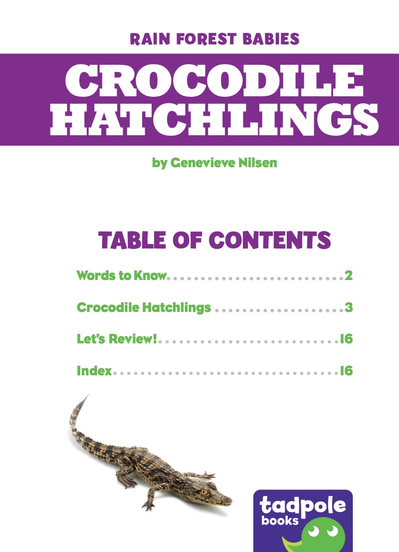 Rain Forest Babies: Crocodile Hatchlings book cover