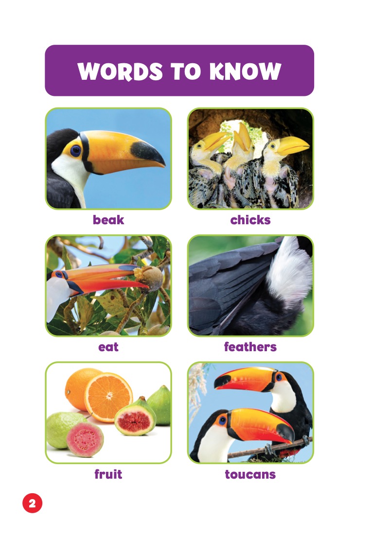 Rain Forest Babies: Toucan Chicks — page 1