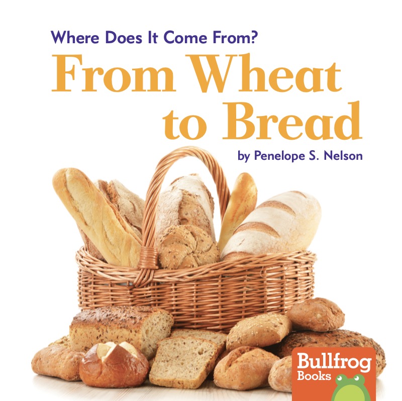 Where Does It Come From?: From Wheat to Bread book cover