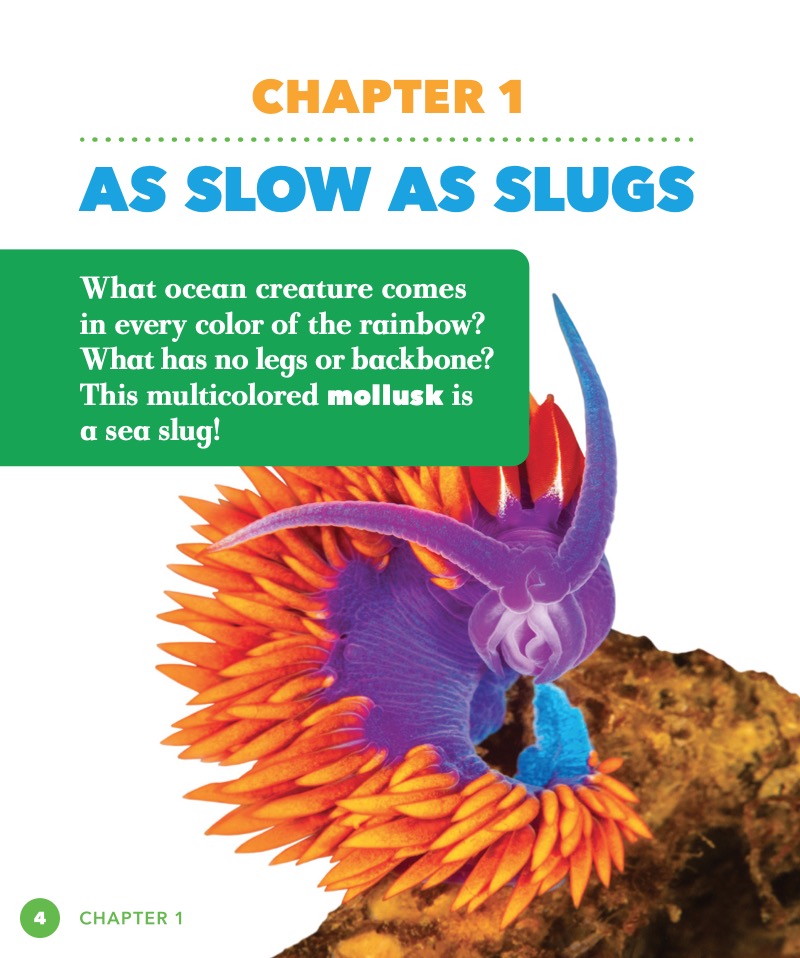 Science Behind the Colors: Sea Slugs — page 1