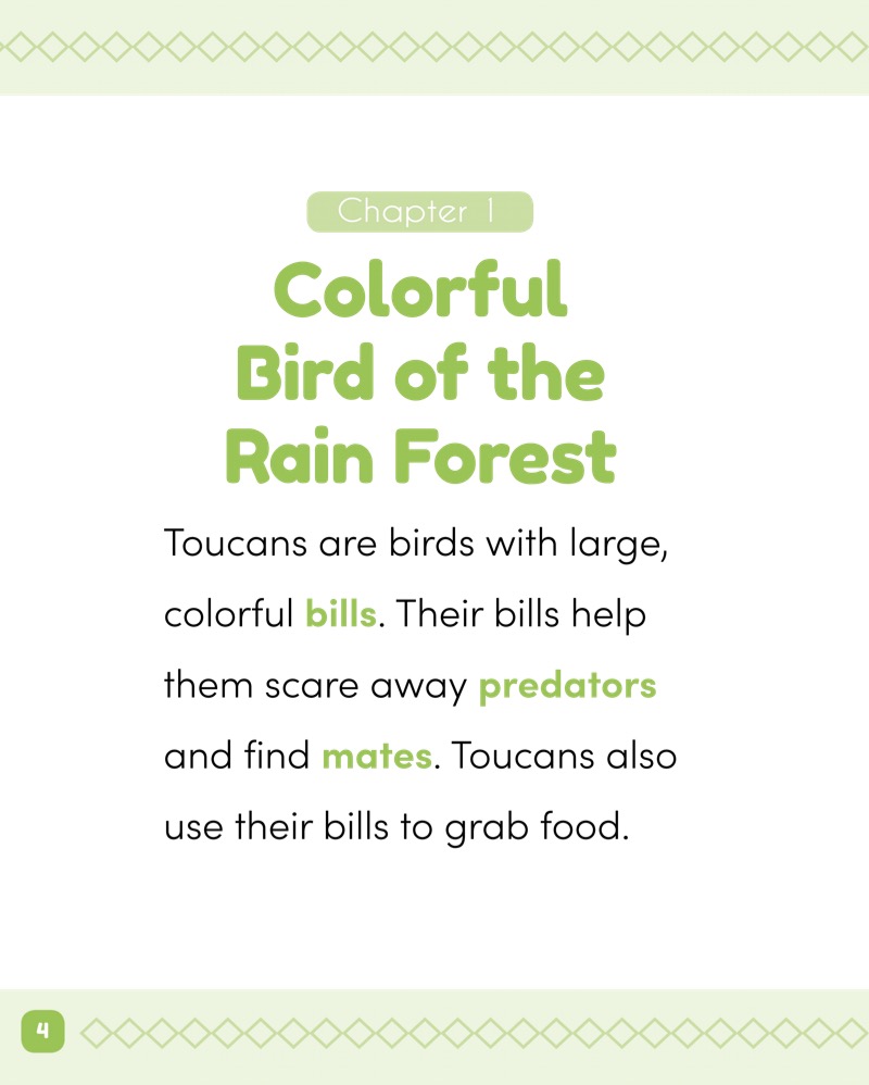 Rain Forest Animals: Toucans — page 1