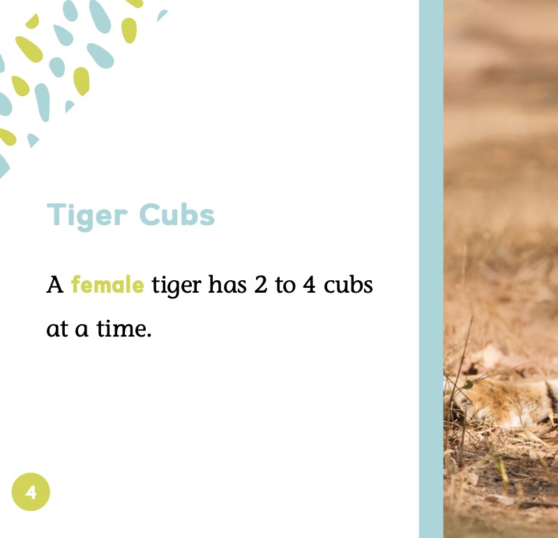 Baby Animals: Tiger Clubs — page 1